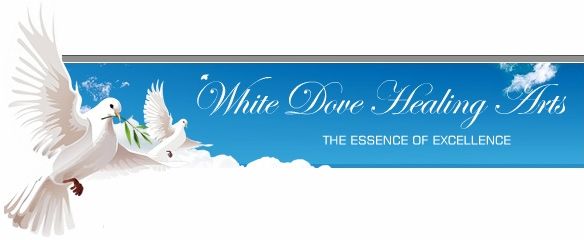 white_dove_healing_arts_logo